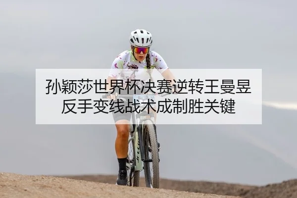 sun-ying-sha-shi-jie-bei-jue-sai-ni-zhuan-wang-man-yu-fan-shou-bian-xian-zhan-shu-cheng-zhi-sheng-guan-jian-2-929.jpg